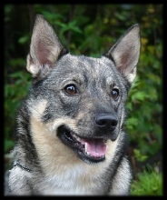 ~ 1,5 v | 1,5 years &copy; Kirsi Hotanen