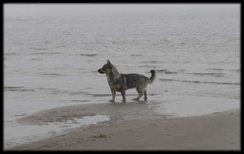 1 v | 1 year &copy; Bj&ouml;rn Gr&ouml;ndahl