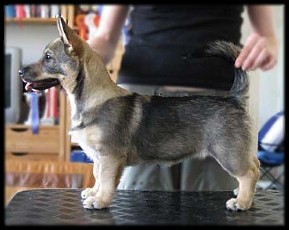 3,5 kk | 3,5 months &copy; Henttonen