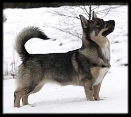 ~ 8 kk | 8 months &copy; Bj&ouml;rn Gr&ouml;ndahl