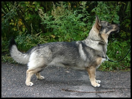 Wilma 2008 &copy; Kirsi Hotanen